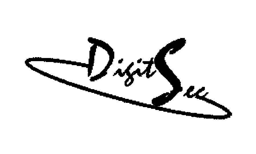 Trademark Logo DIGITSEC