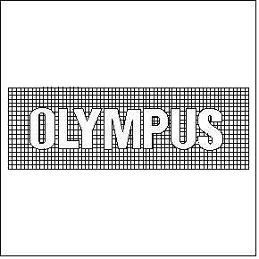  OLYMPUS
