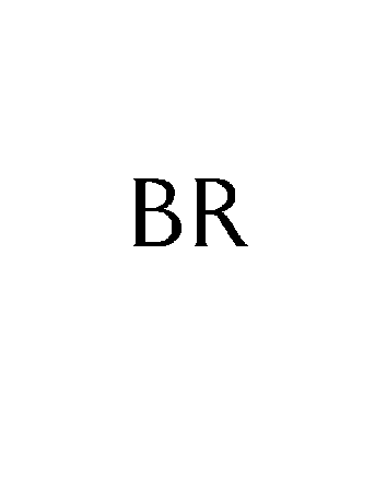 Trademark Logo BR