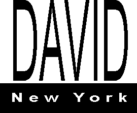 Trademark Logo DAVID NEW YORK