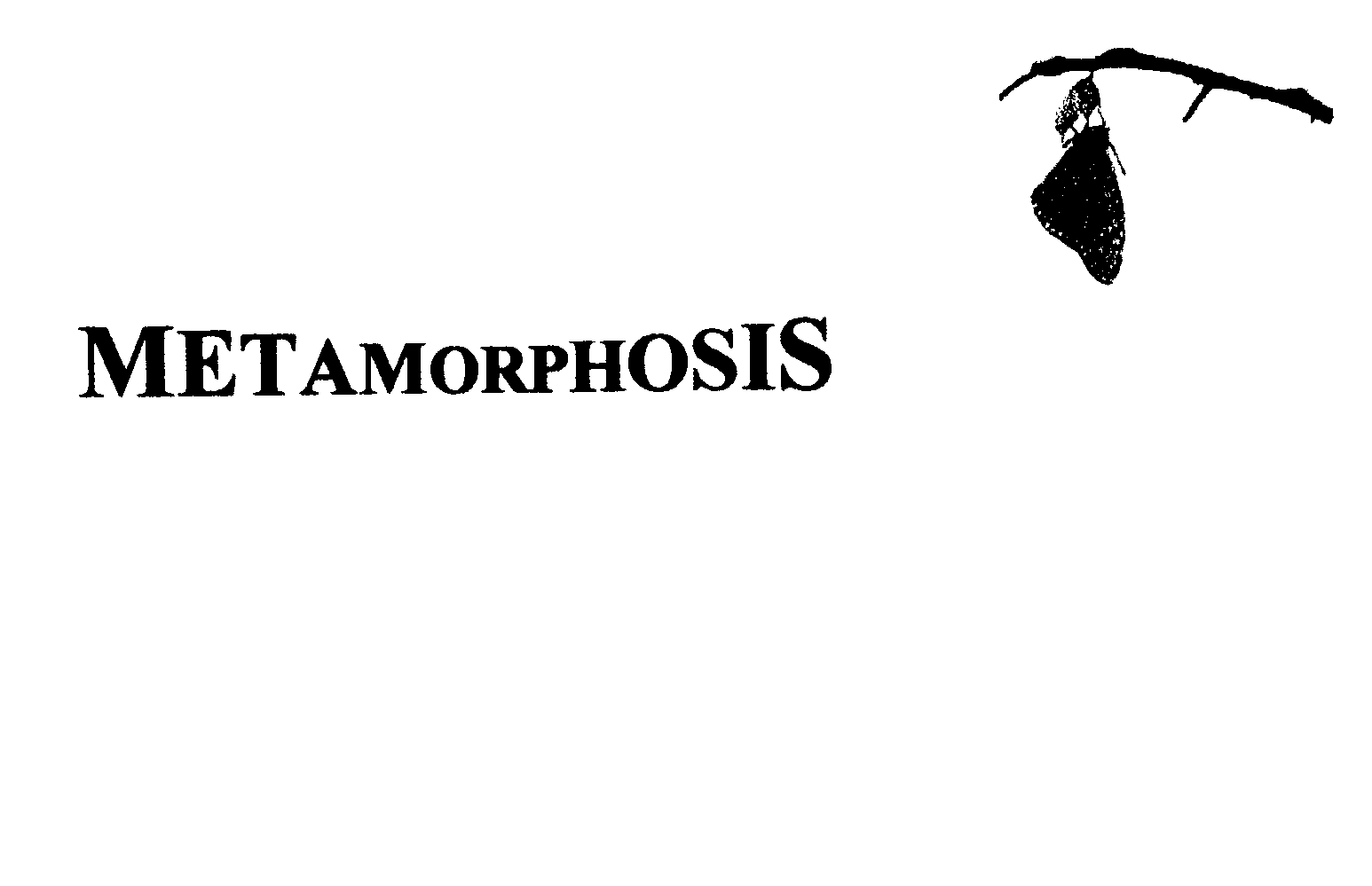 METAMORPHOSIS
