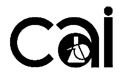  CAI