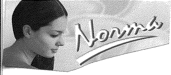 Trademark Logo NORMA