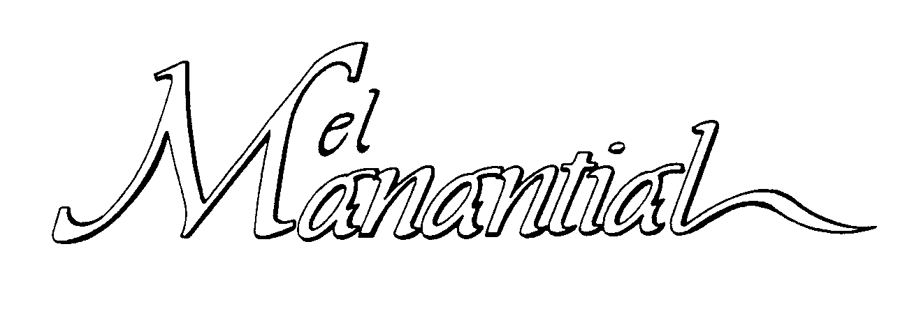 Trademark Logo EL MANANTIAL