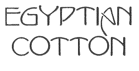  EGYPTIAN COTTON