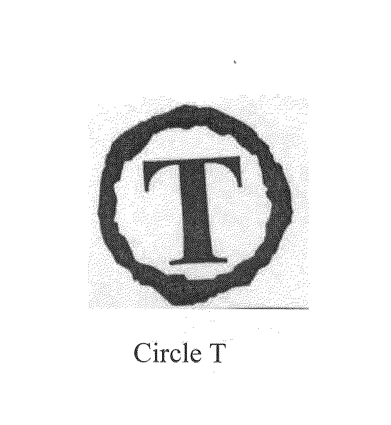 CIRCLE T