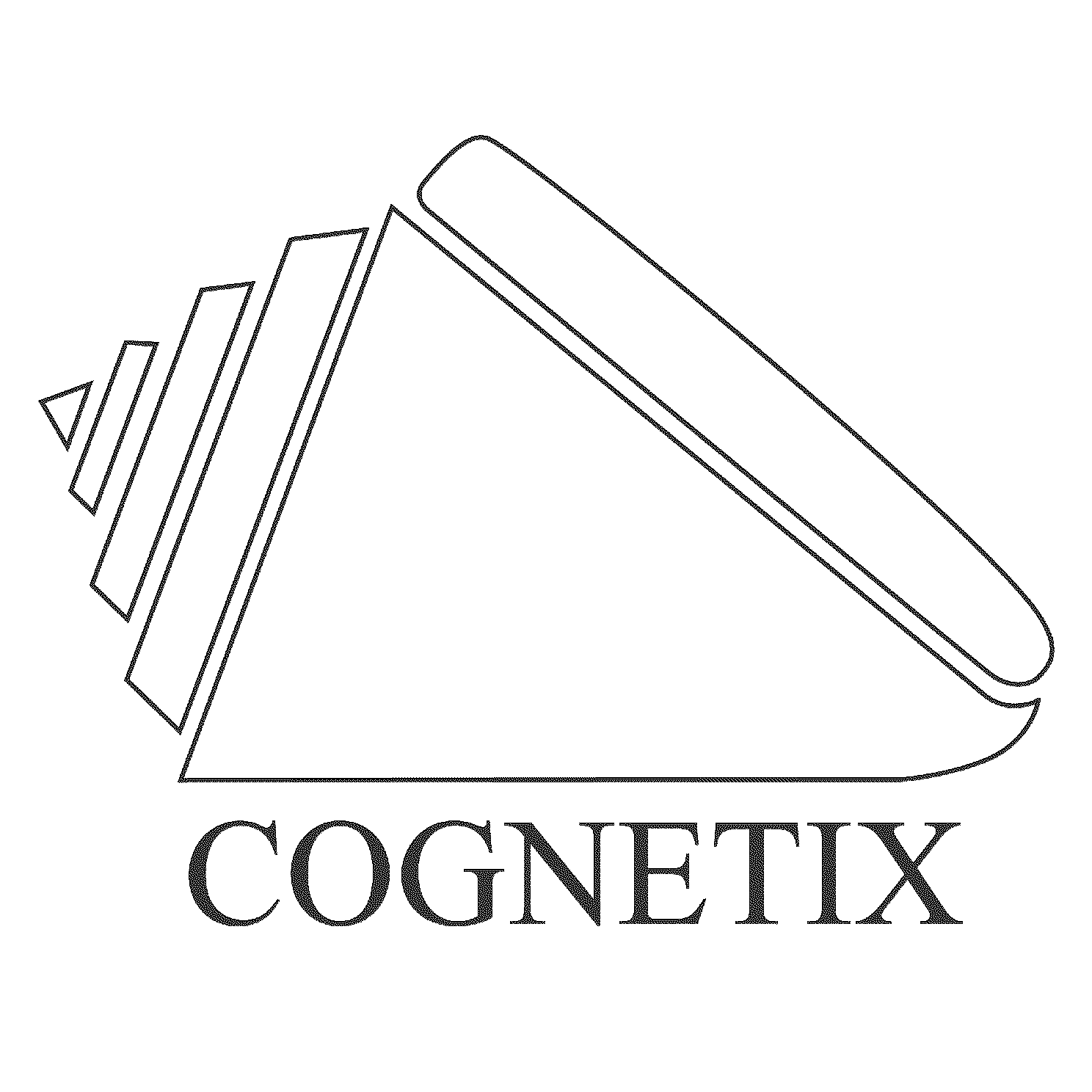  COGNETIX