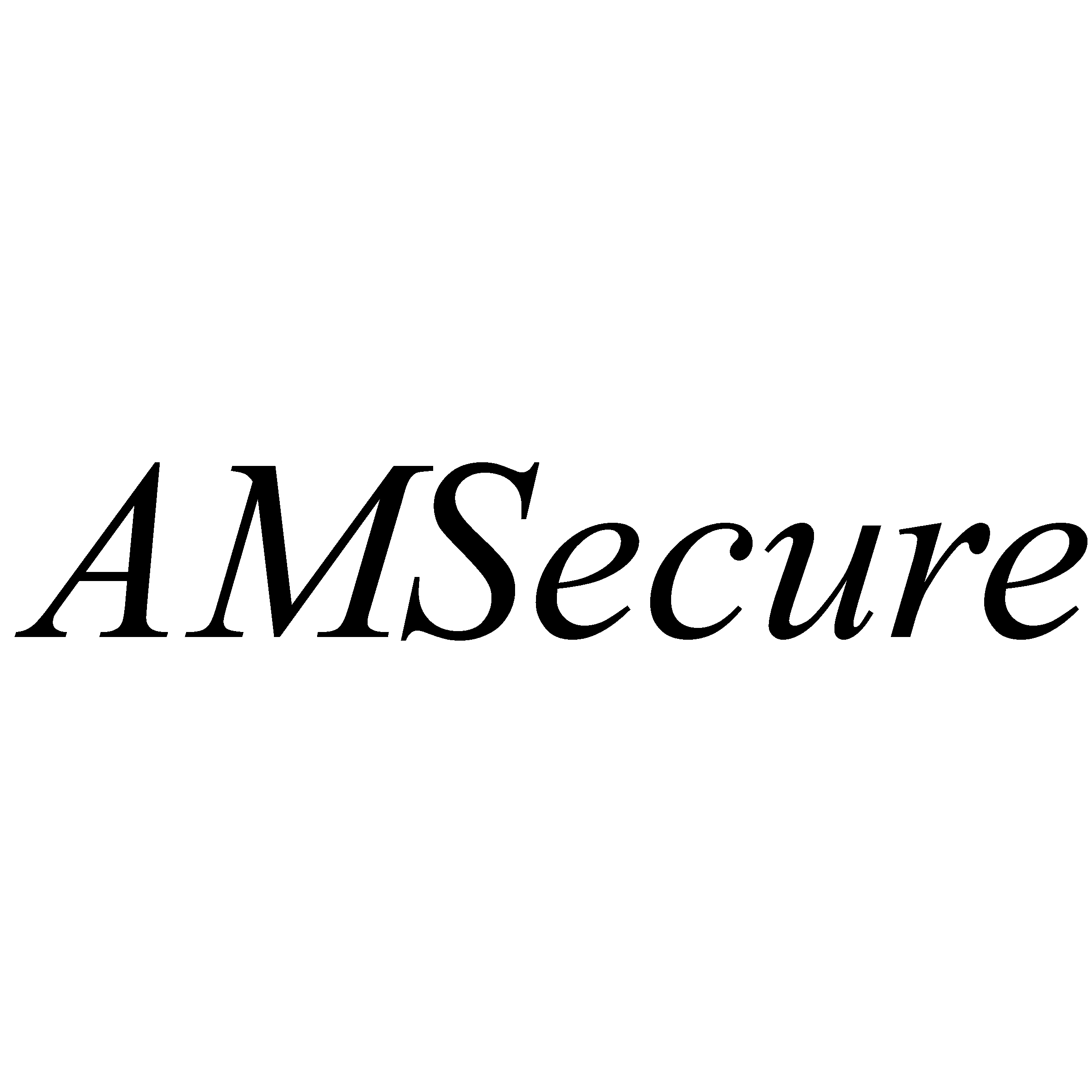  AMSECURE