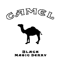  CAMEL BLACK MAGIC BERRY