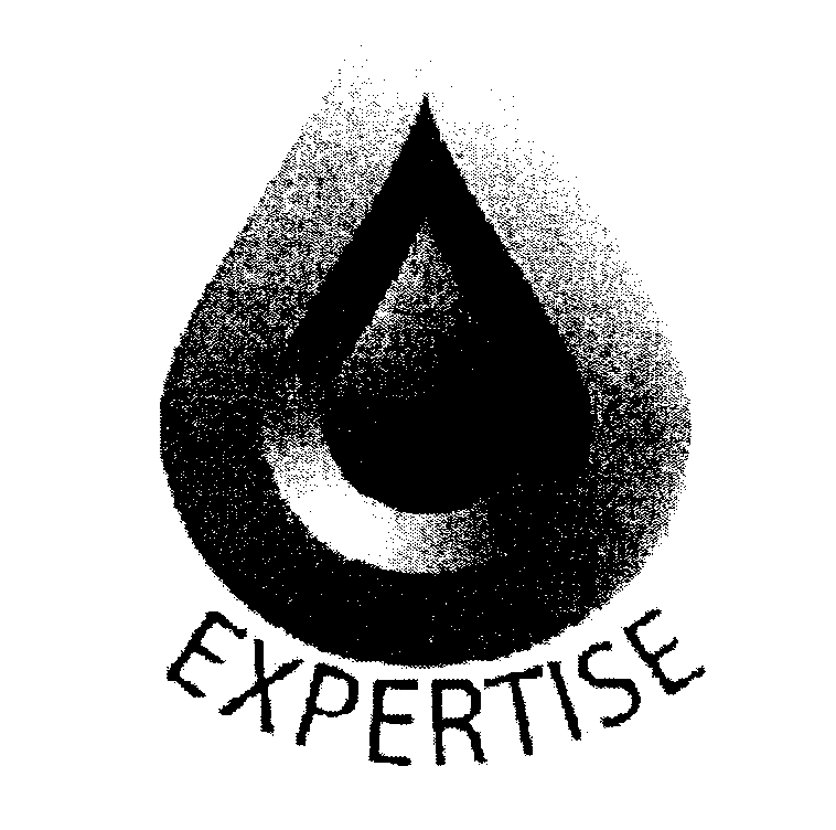 Trademark Logo EXPERTISE
