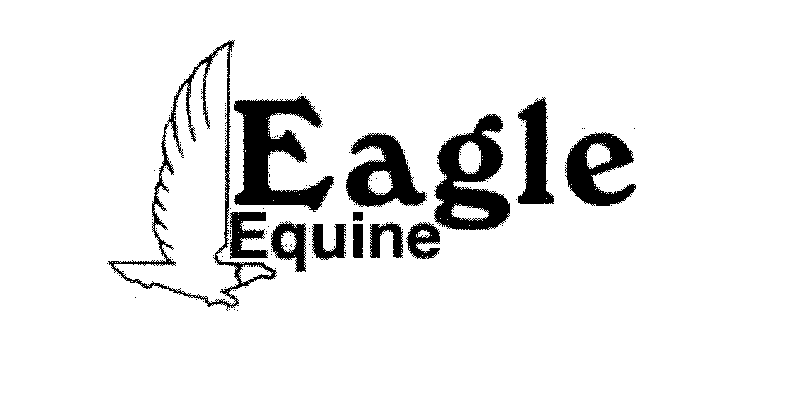  EAGLE EQUINE