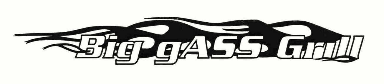  BIG GASS GRILL