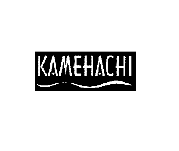 KAMEHACHI