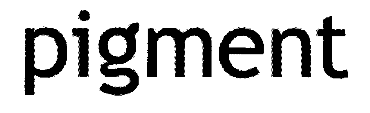 Trademark Logo PIGMENT