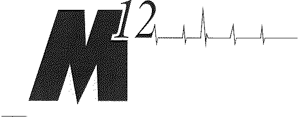 Trademark Logo M12
