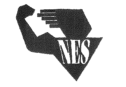 Trademark Logo NES