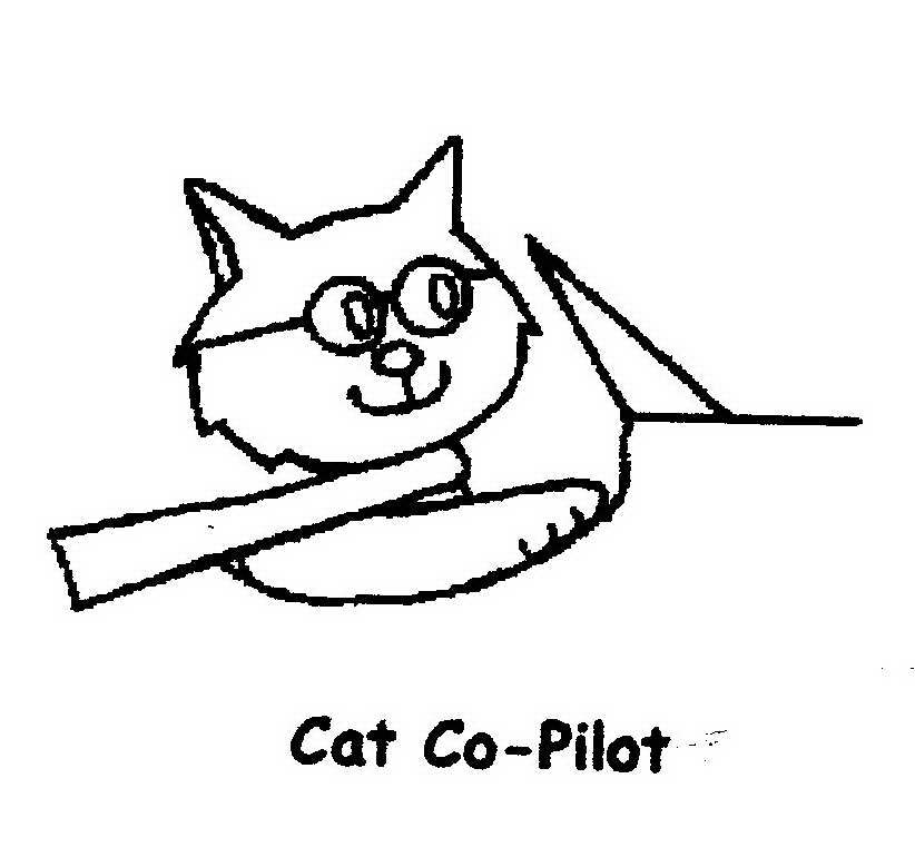 CAT CO-PILOT
