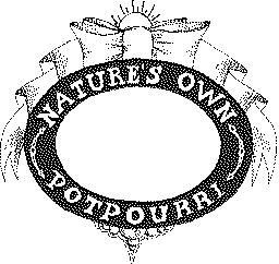 Trademark Logo NATURE'S OWN POTPOURRI