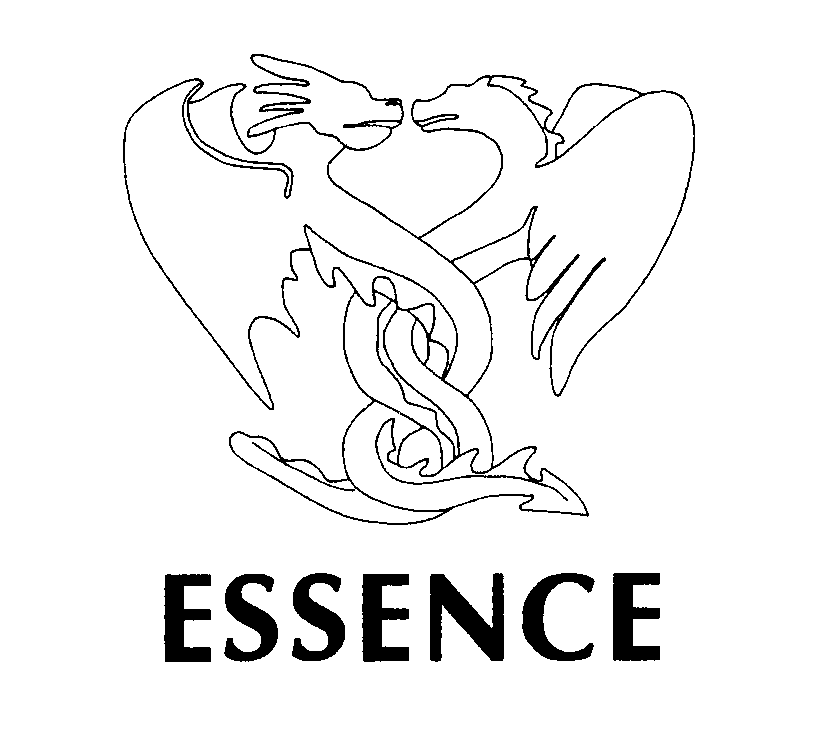  ESSENCE