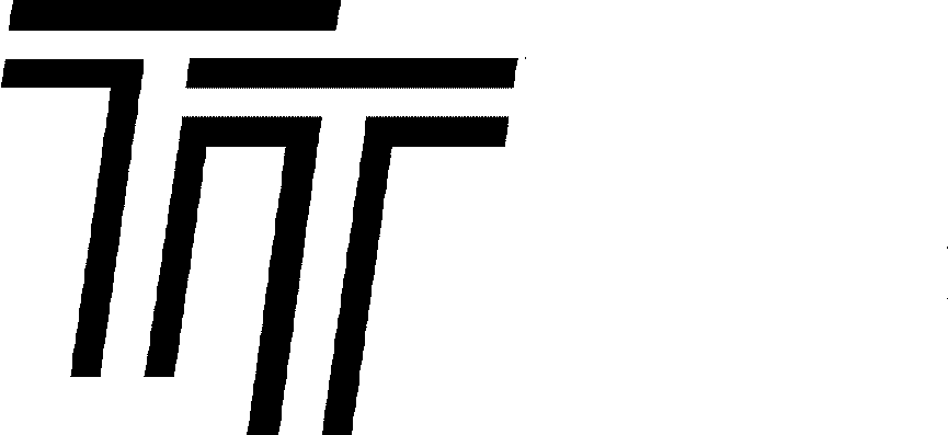 Trademark Logo TT