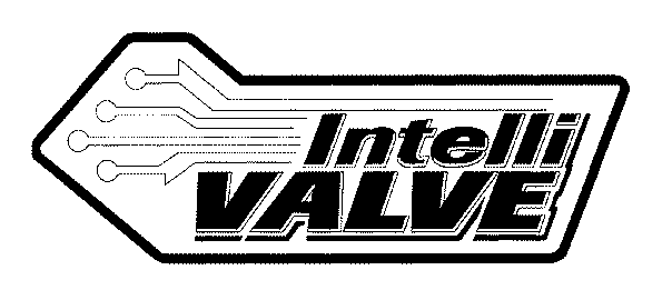 INTELLIVALVE