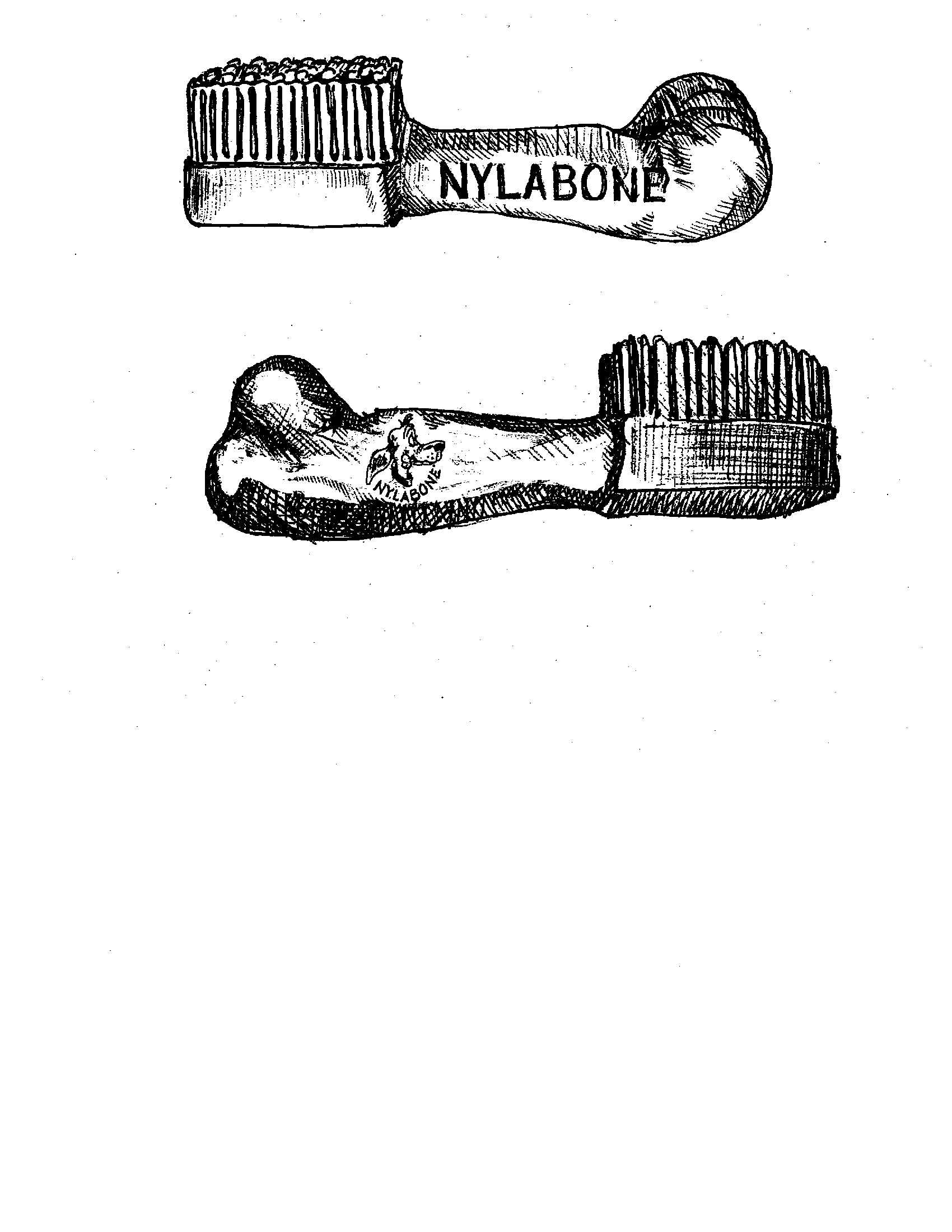  NYLABONE