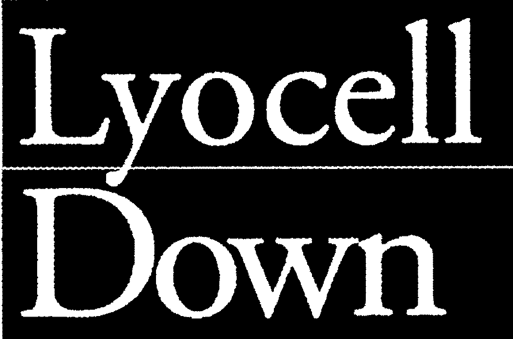  LYOCELL DOWN