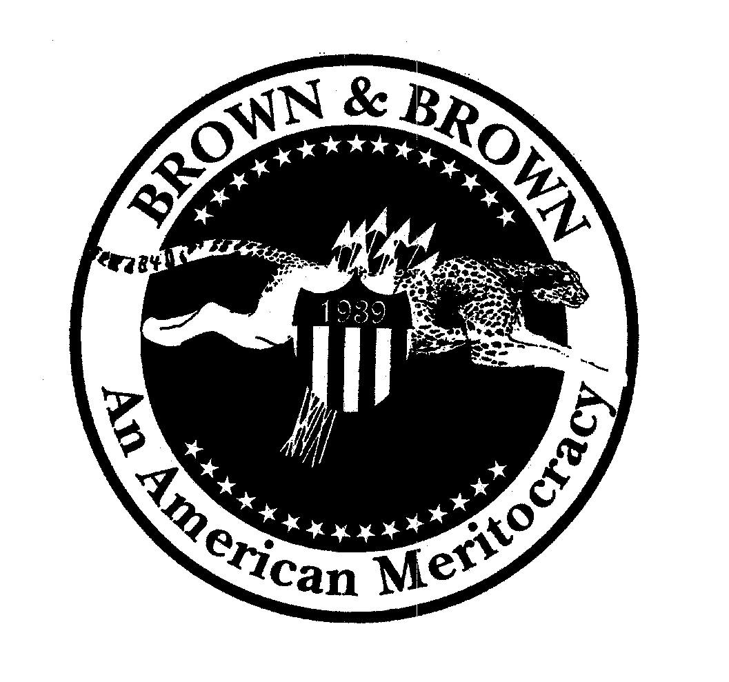  BROWN &amp; BROWN AN AMERICAN MERITOCRACY 1939