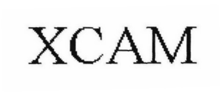 Trademark Logo XCAM