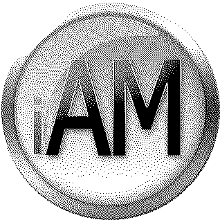 Trademark Logo IAM