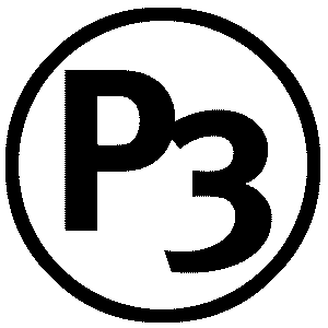  P3
