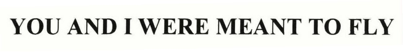  YOU AND I WERE MEANT TO FLY