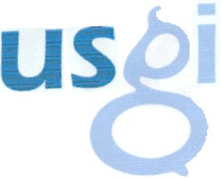 Trademark Logo USGI