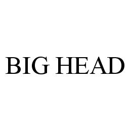 Trademark Logo BIG HEAD