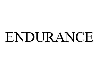 Trademark Logo ENDURANCE