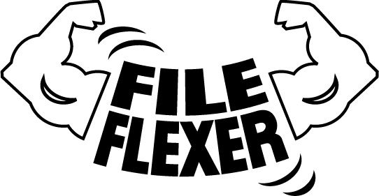  FILE FLEXER