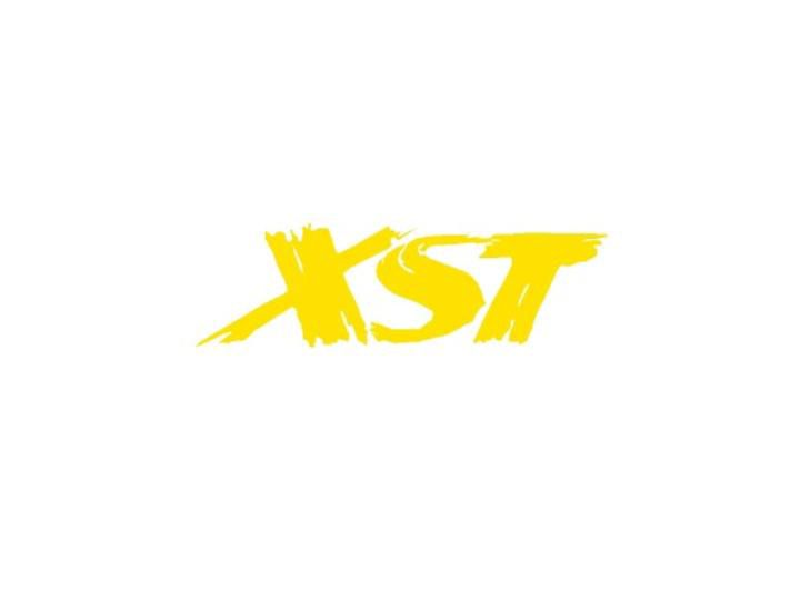 Trademark Logo XST