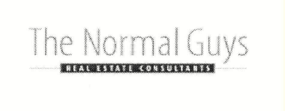  THE NORMAL GUYS REAL ESTATE CONSULTANTS