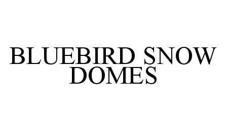  BLUEBIRD SNOW DOMES