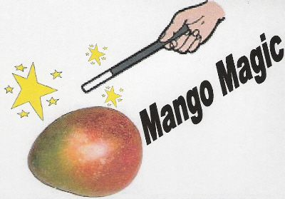 Trademark Logo MANGO MAGIC