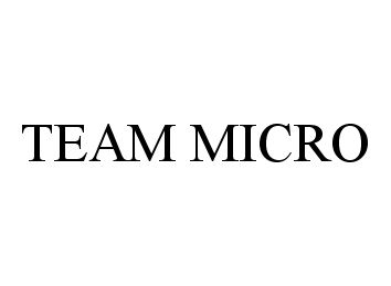  TEAM MICRO