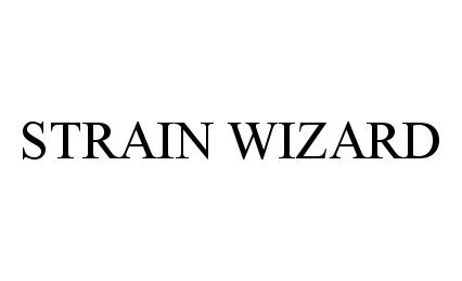  STRAIN WIZARD