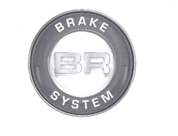  BR BRAKE SYSTEM