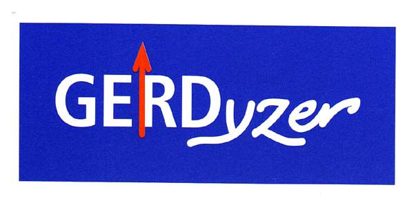 Trademark Logo GERDYZER