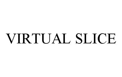  VIRTUAL SLICE