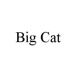 BIG CAT