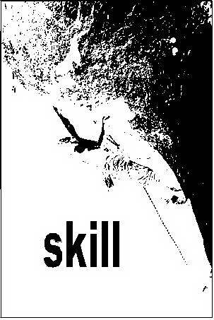 Trademark Logo SKILL