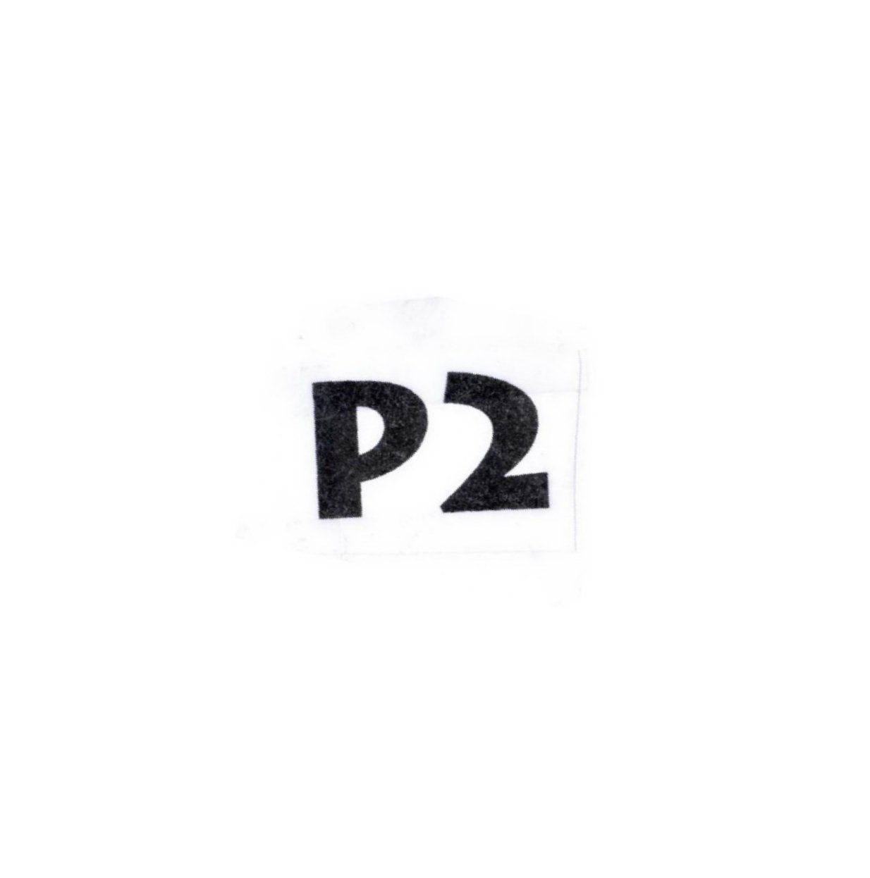 Trademark Logo P2