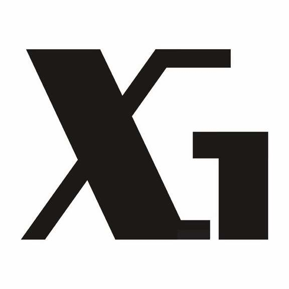 Trademark Logo X 1