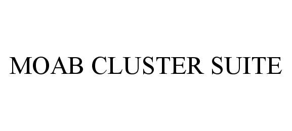  MOAB CLUSTER SUITE